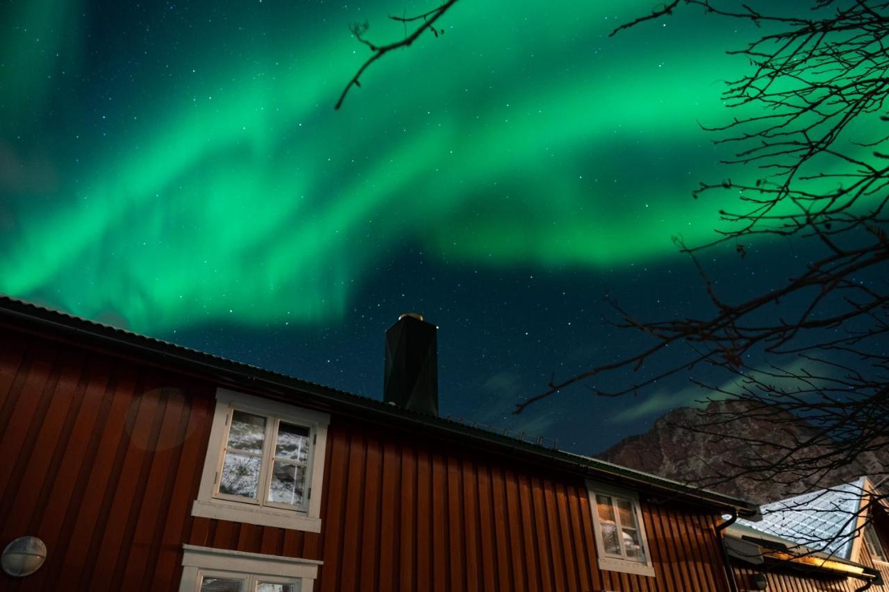 Lofoten Cabins - Sund Sund  Exteriör bild